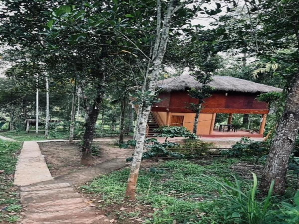 Kuruva Shoreline Wayanad Chegāt Exteriér fotografie