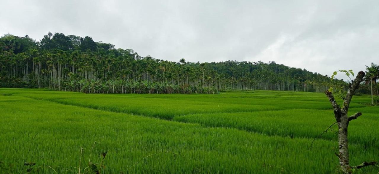 Kuruva Shoreline Wayanad Chegāt Exteriér fotografie